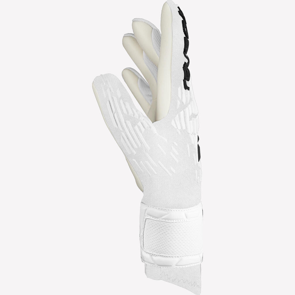 Adult Goalkeeper Gloves Attrakt Euro 24